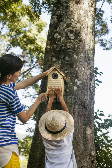 Mother and daughter putting a bird house — Stock Photo
