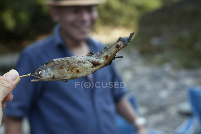 Nahaufnahme eines gegrillten Fisches. — Stockfoto