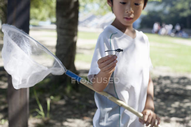 Японский мальчик держит в руках сетку для бабочек — стоковое фото