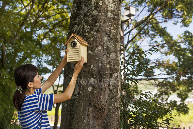 Женщина сажает птичий домик — стоковое фото
