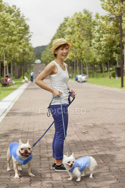 Japanese Woman walking two dogs — Stock Photo