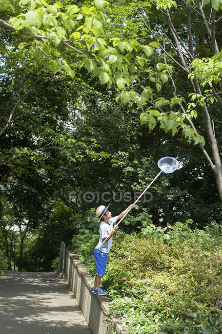 Молодой японский мальчик ловит бабочек — стоковое фото