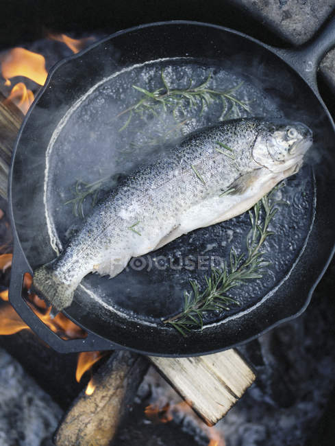 Риба в сковороді над вогнем . — стокове фото