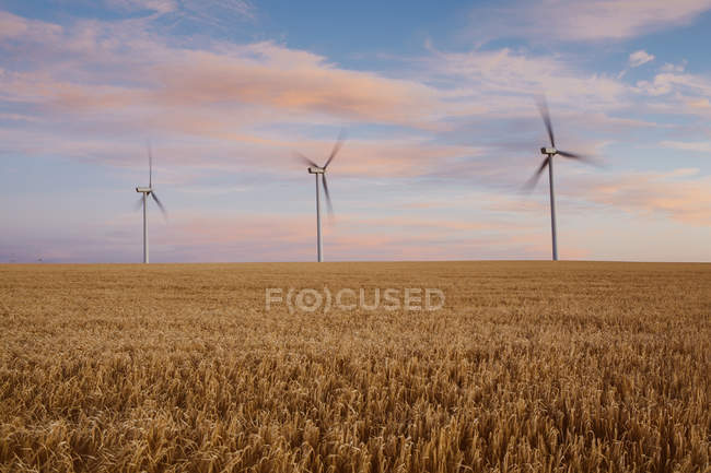 Turbine eoliche al crepuscolo in un campo — Foto stock
