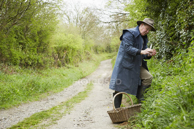 Homme cherchant des plantes comestibles et savoureuses — Photo de stock