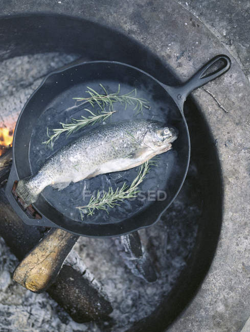 Рыба в сковородке — стоковое фото