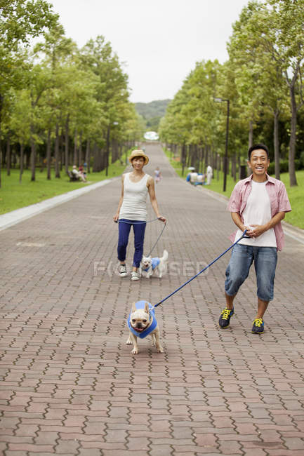 Casal japonês andando dois cães — Fotografia de Stock
