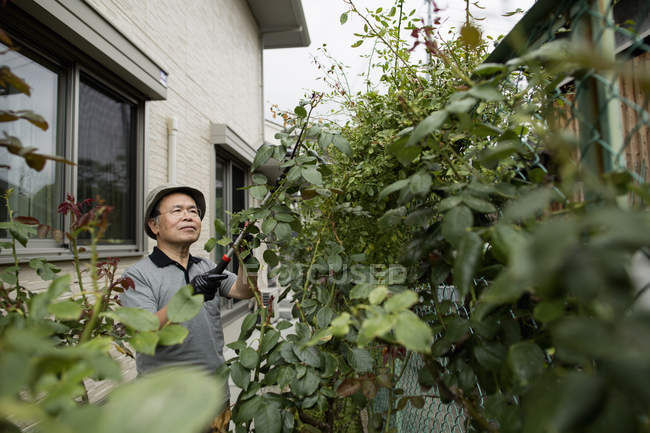 Человек работает в саду — стоковое фото