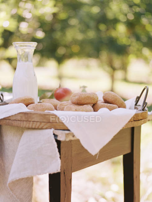 Mesa con comida en el huerto de manzana - foto de stock