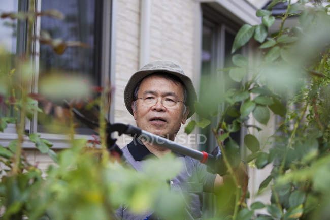 Mann arbeitet in seinem Garten — Stockfoto