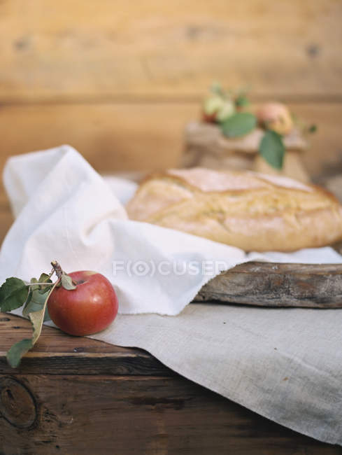 Стол с едой в яблочном саду — стоковое фото