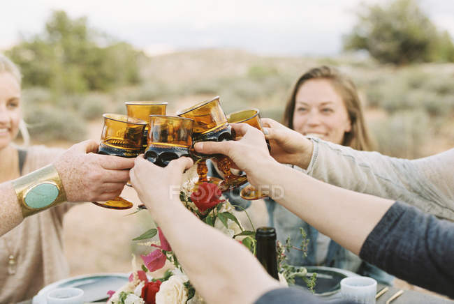 Женщины поднимают бокалы за тост — стоковое фото