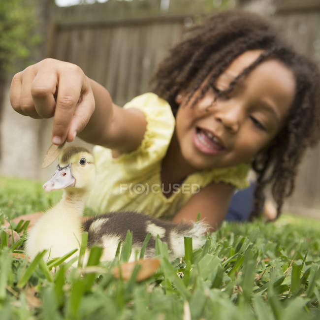 Girl stroking the head of a duckling — Stock Photo