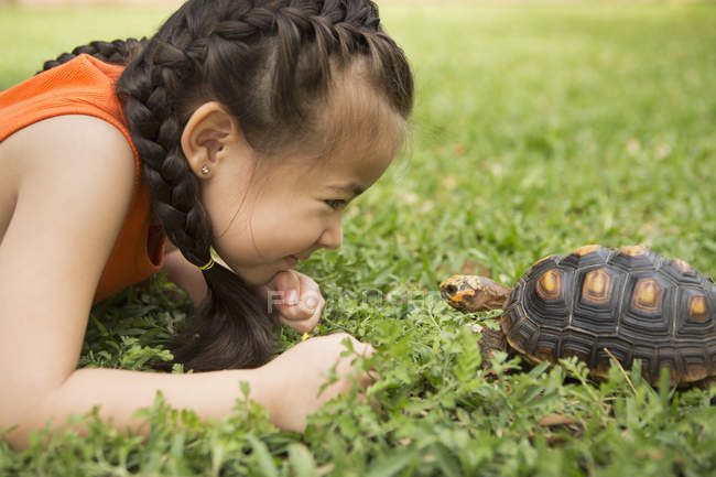 Girl looking at a tortoise — Stock Photo