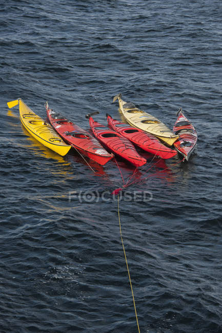 Sea kayaks on long mooring rope — Stock Photo