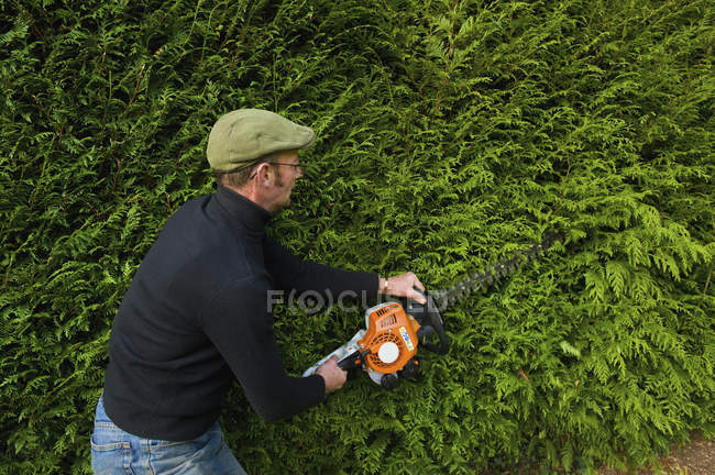 Homem aparando cerca verde grossa — Fotografia de Stock