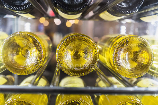 Garrafas de vinho branco — Fotografia de Stock