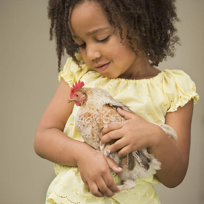 Chica sosteniendo un pollo en sus brazos - foto de stock