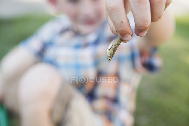 Garçon tenant un petit poisson — Photo de stock