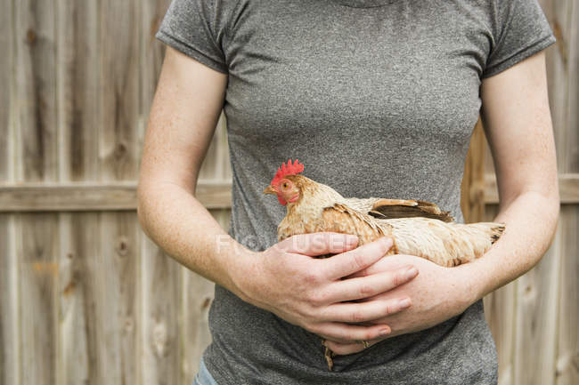 Woman holding a chicken. — Stock Photo