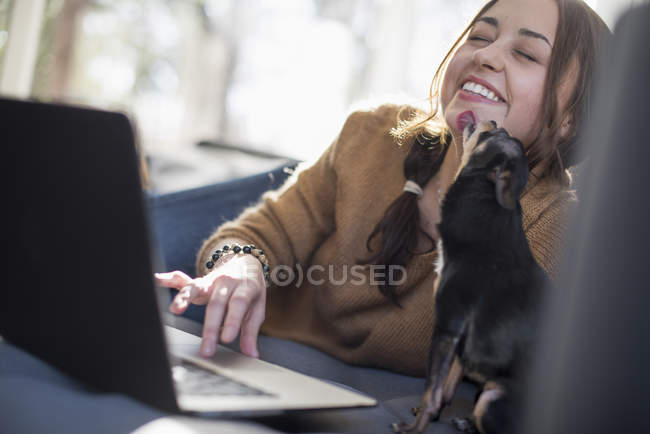 Маленькая собака лижет лицо женщины — стоковое фото