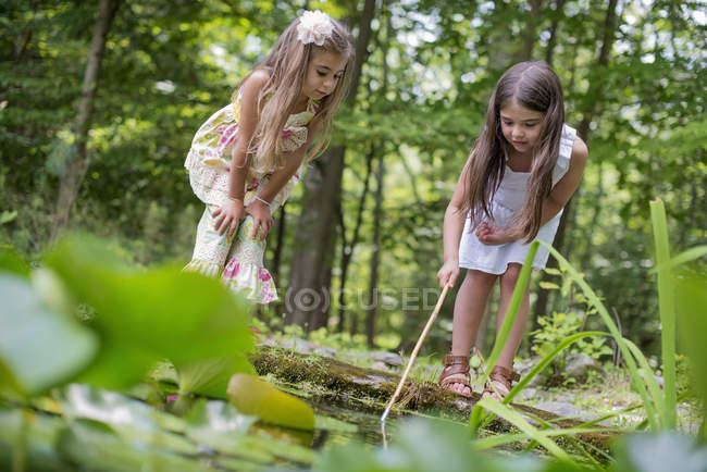 Niñas jugando en un estanque - foto de stock