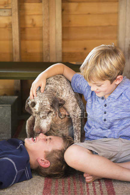 Brothers playing with dog — Stock Photo