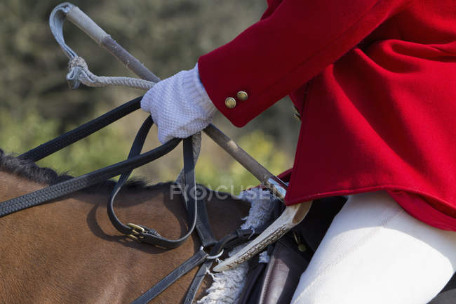 Master of Foxhounds in a traditional hunting coat — Stock Photo