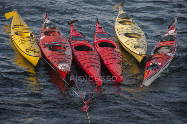 Sea kayaks on a long mooring rope — Stock Photo