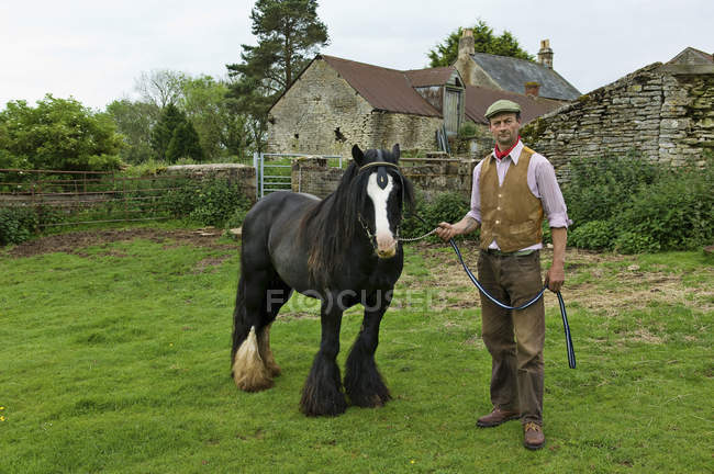 Farm worker holding a horse — Stock Photo