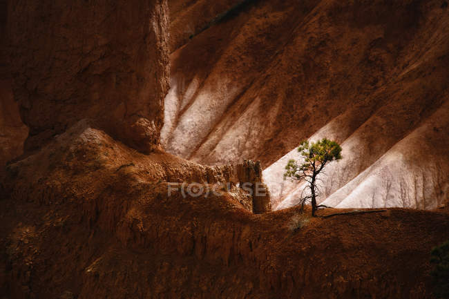 Landschaft des Bryce-Canyons — Stockfoto