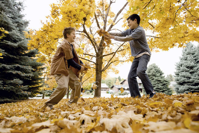 Meninos brincando com folhas de outono — Fotografia de Stock