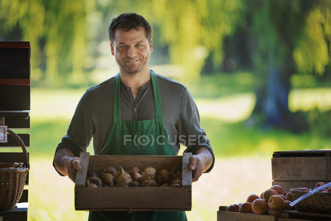 Homme avec une boîte de fruits fraîchement cueillis . — Photo de stock