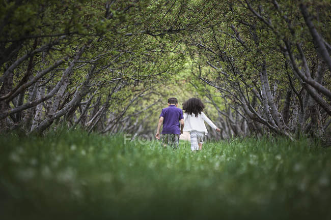 Bambini che corrono lungo il tunnel del ramo dell'albero — Foto stock
