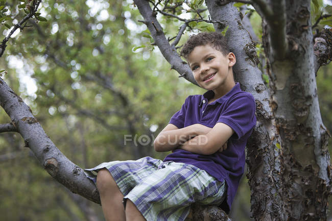 Garçon assis dans l'arbre — Photo de stock