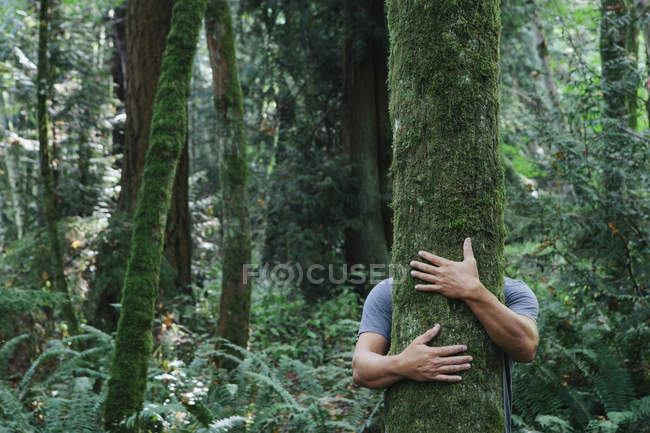 Человек обнимает дерево — стоковое фото