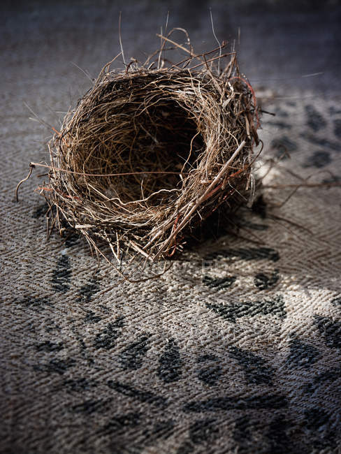 Pequeño nido de pájaro intrincadamente tejido . - foto de stock