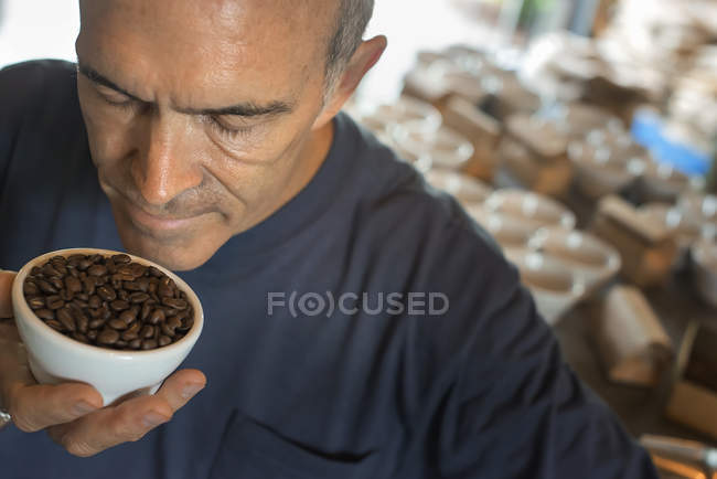 Sampling procedure in a coffee processing shed — Stock Photo