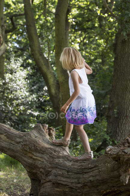 Молода дівчина в лісі . — стокове фото