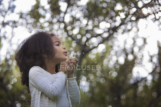 Girl holding and blowing a dandelion — Stock Photo