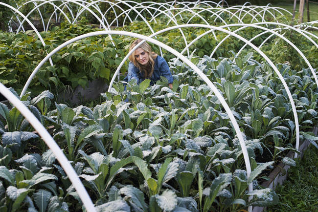 Organic Vegetable Garden — Stock Photo