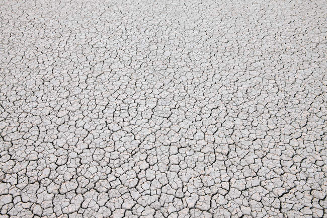 Superficie seca del desierto agrietada - foto de stock