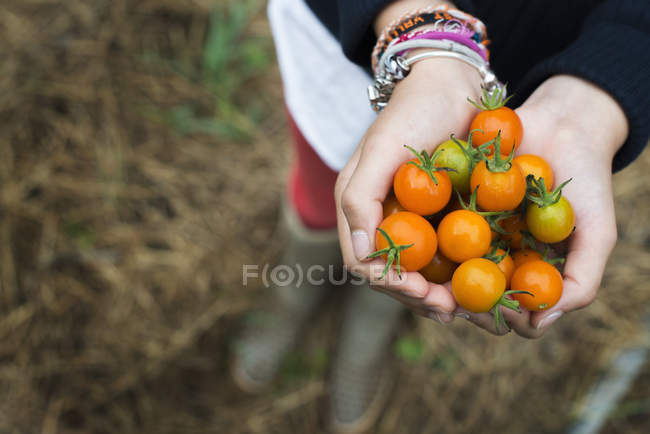 Mädchen hält eine Handvoll Kirschtomaten. — Stockfoto