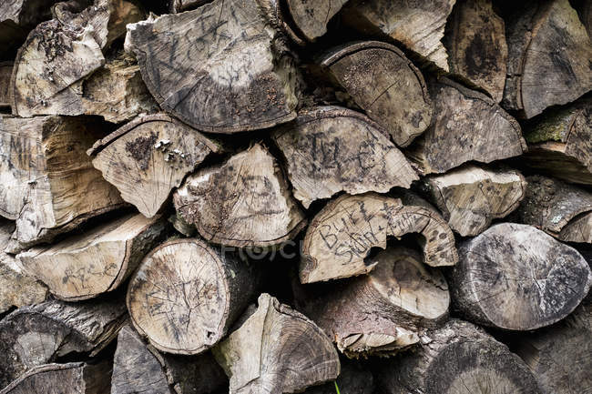 Neatly stacked pile of logs — Stock Photo