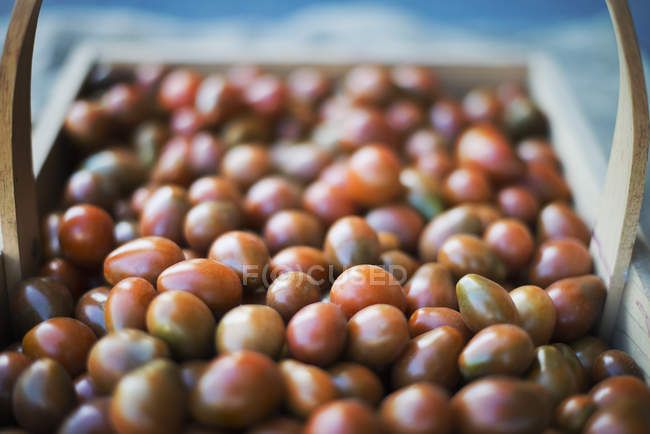 Organic Assorted Heirloom Tomatoes — Stock Photo
