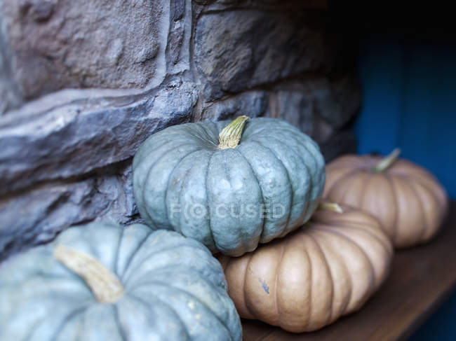 Group of pumpkins on gourds in storage — Stock Photo