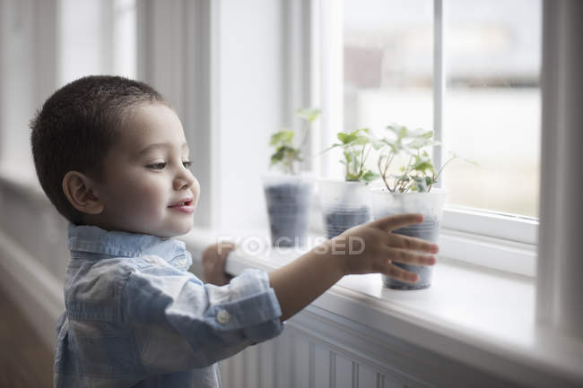 Хлопчик дивиться на молоді рослини — стокове фото