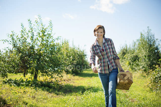Mujer recogiendo manzanas - foto de stock