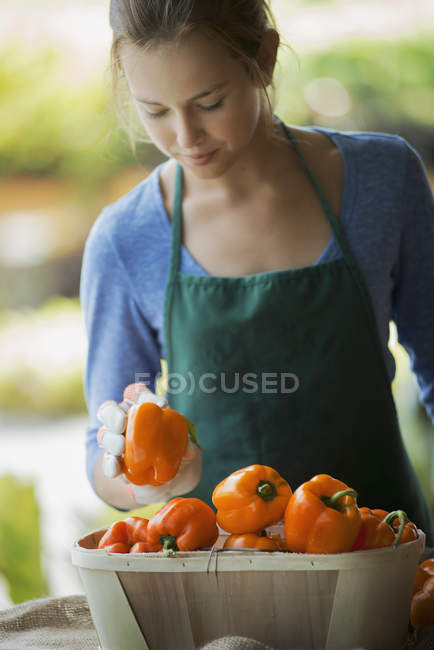 Légumes biologiques exposés avec agriculteur — Photo de stock