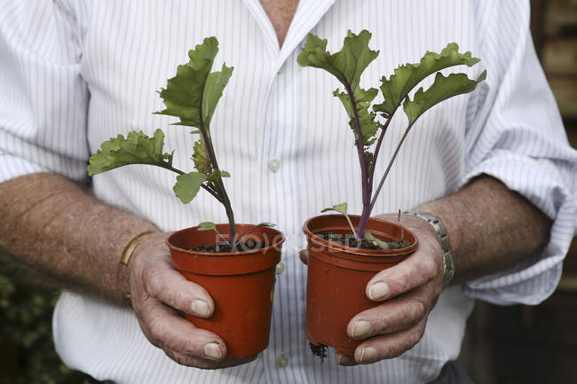 Jardinero sosteniendo dos ollas - foto de stock